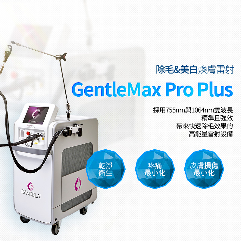 GentleMax Pro Plus - 弘大店